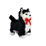 Interaktívna mačka - kráča, mňauká - čierna